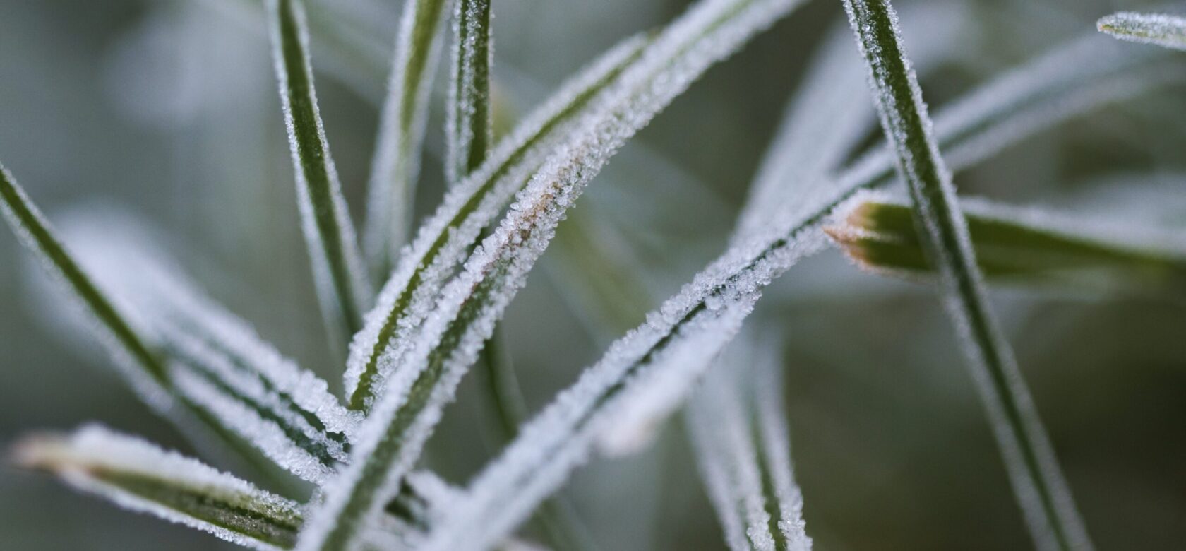 Prevex sustainability