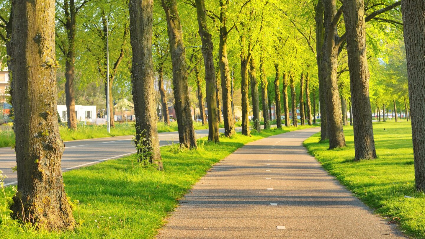 Prevex Summer info banner