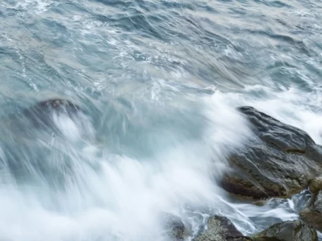 Prevex water-2560×1440